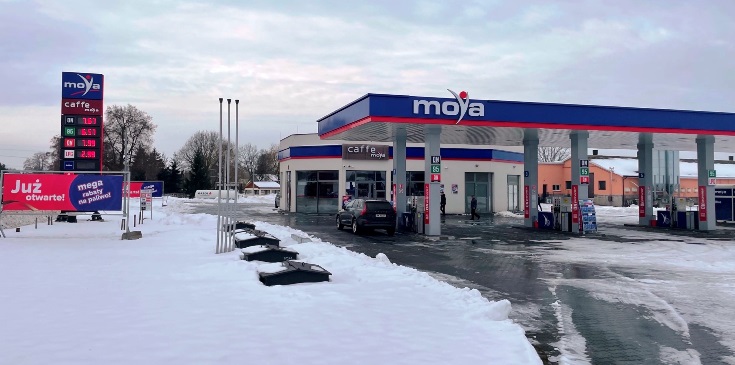 Moya zelkow