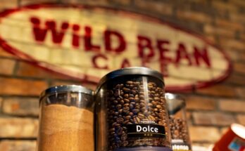 wild bean cafe bp