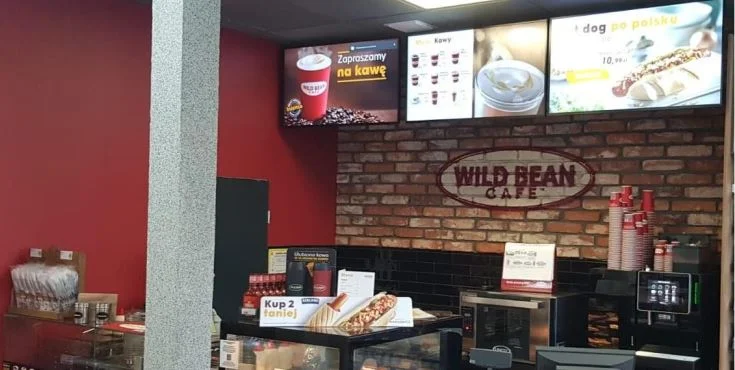 wild bean cafe wasosz