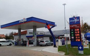 moya zielona gora