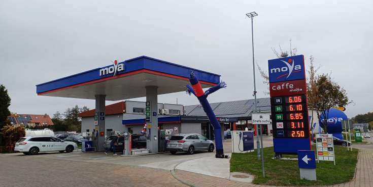 moya zielona gora