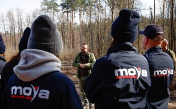 sadzenie lasu anwim