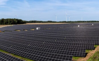 Mozejki PV orlen