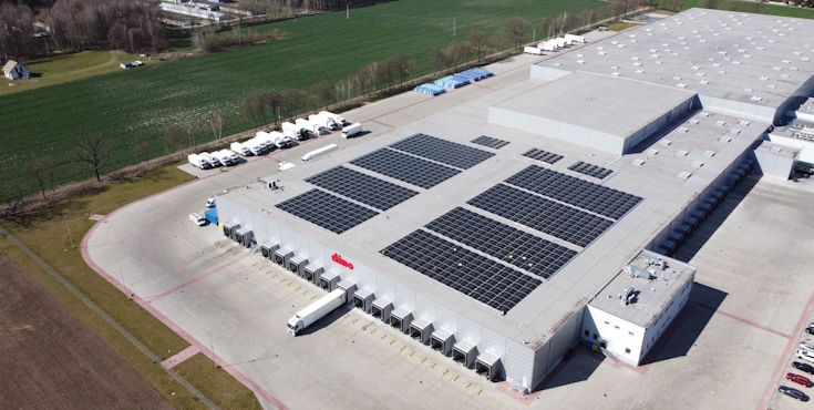 AVIA Solar Dino