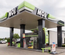 Boniewo mol